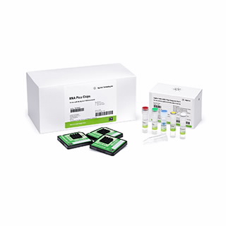 生物分析仪高灵敏度 RNA 分析